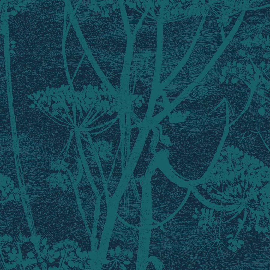Purchase F111/5015 Cow Parsley, Cole and Son Contemporary Fabrics - Cole and Son Fabric - F111/5015.Cs.0