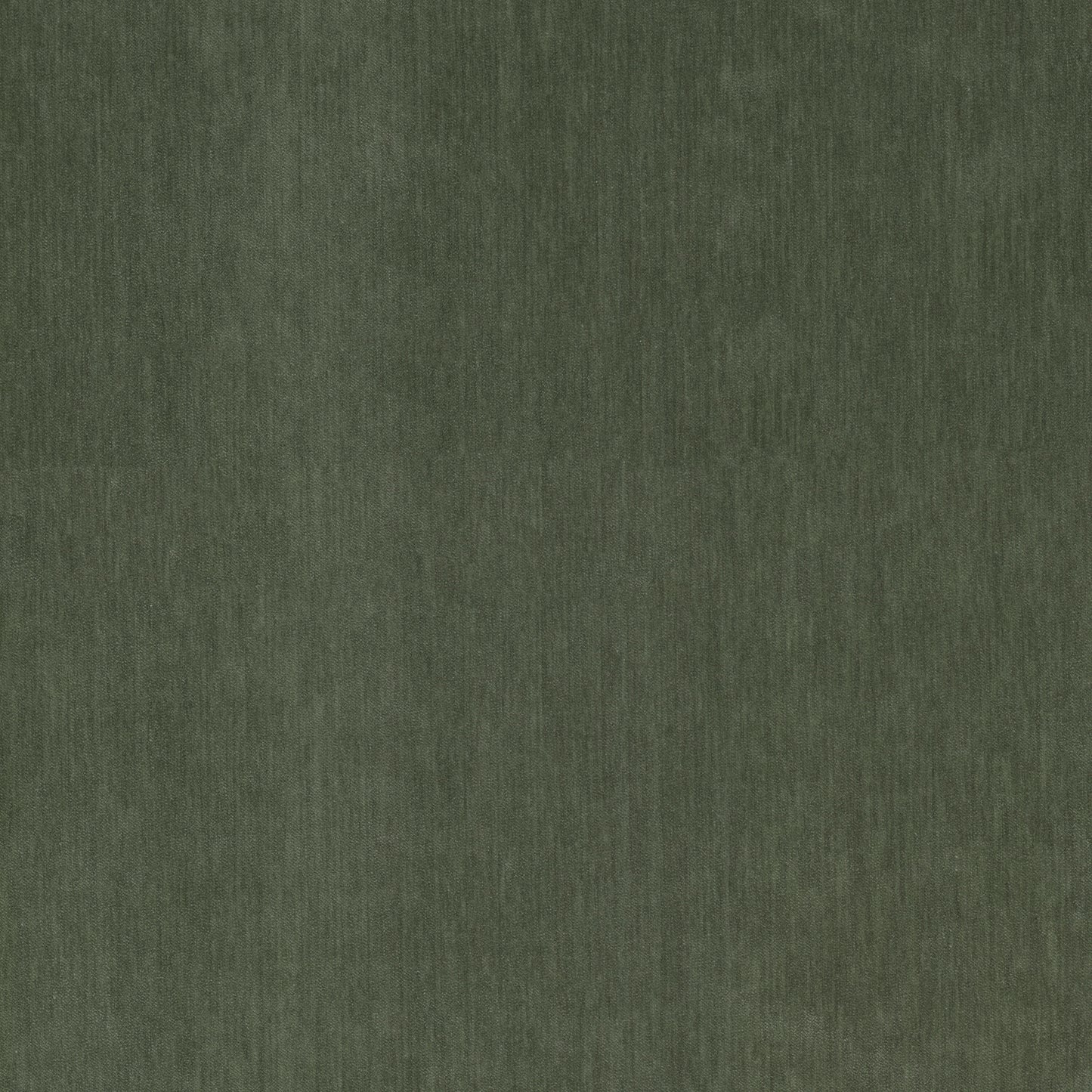 Purchase Stout Fabric SKU Debreif 1 Chive