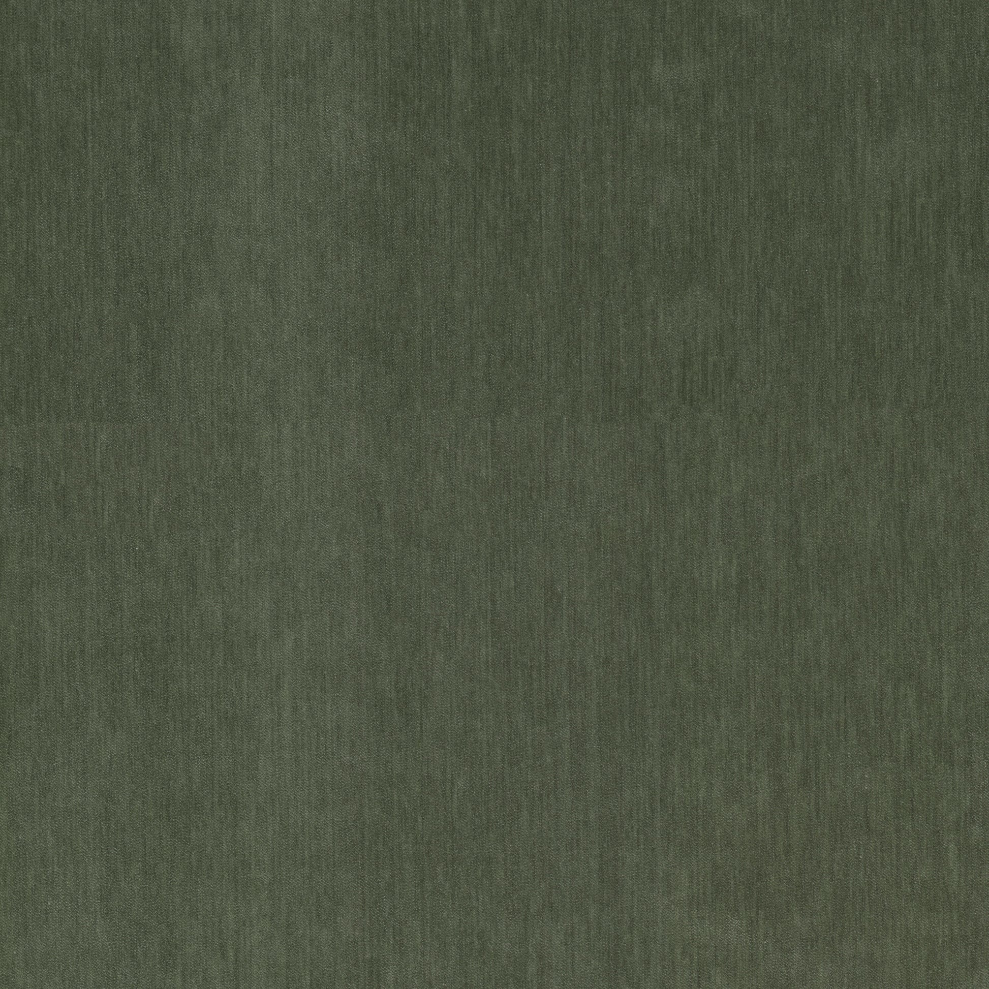 Purchase Stout Fabric SKU Debreif 1 Chive