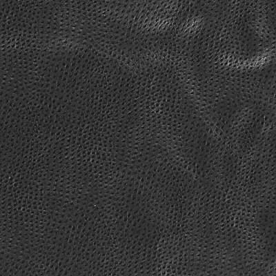 Sample - Delaney.8.0 | Kravet Design, Faux Leather Iv - Kravet Design Fabric