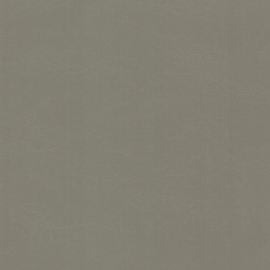 Purchase Stout Fabric Item# Dewdrop 1 Cement