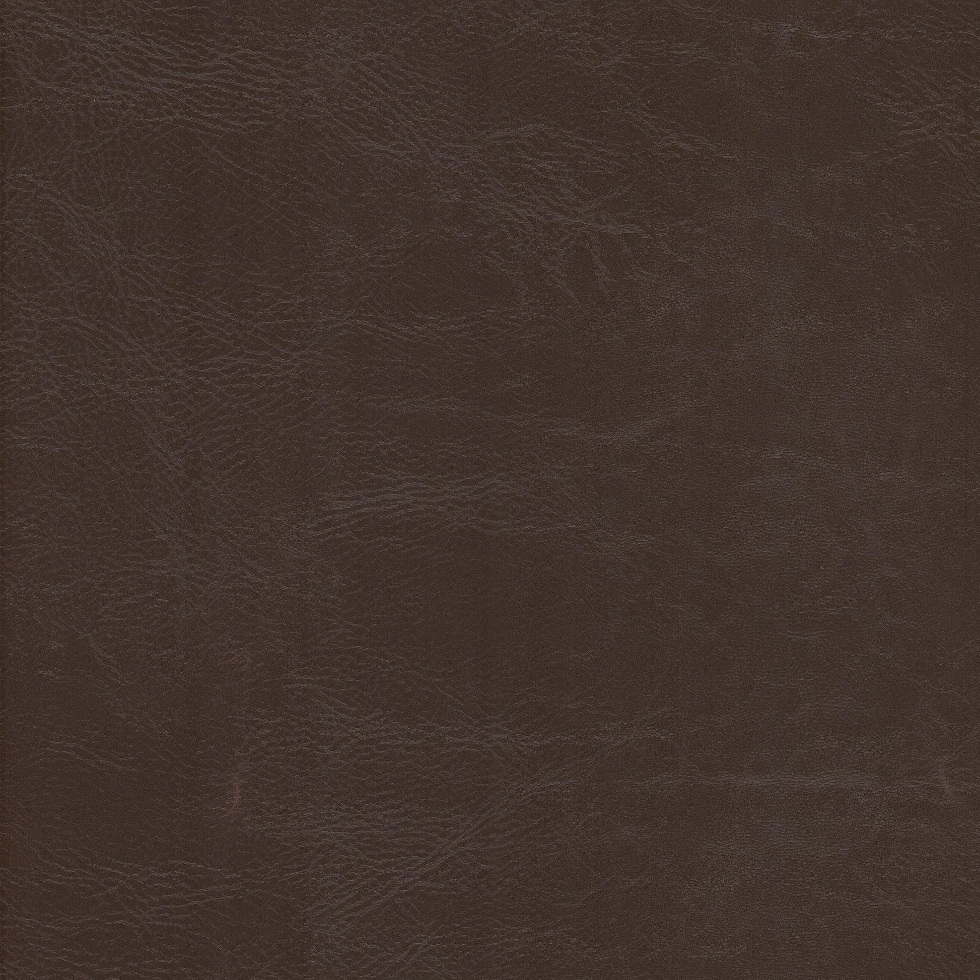 Purchase Stout Fabric Pattern# Dewdrop 3 Raisin