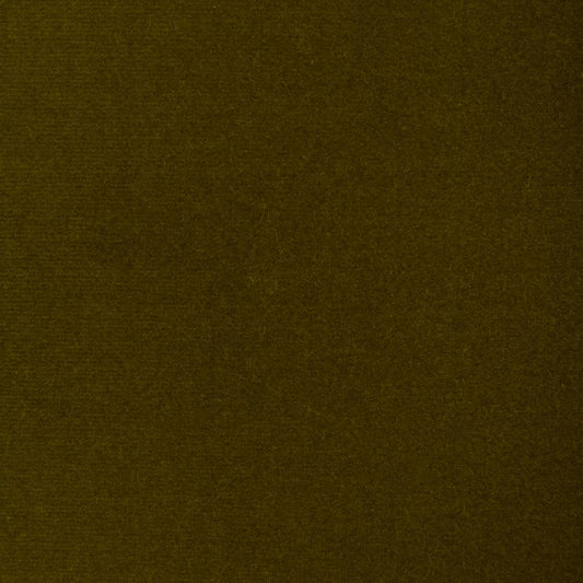 Purchase Dg-10158.23.0 Covet, Olive - Donghia Fabric