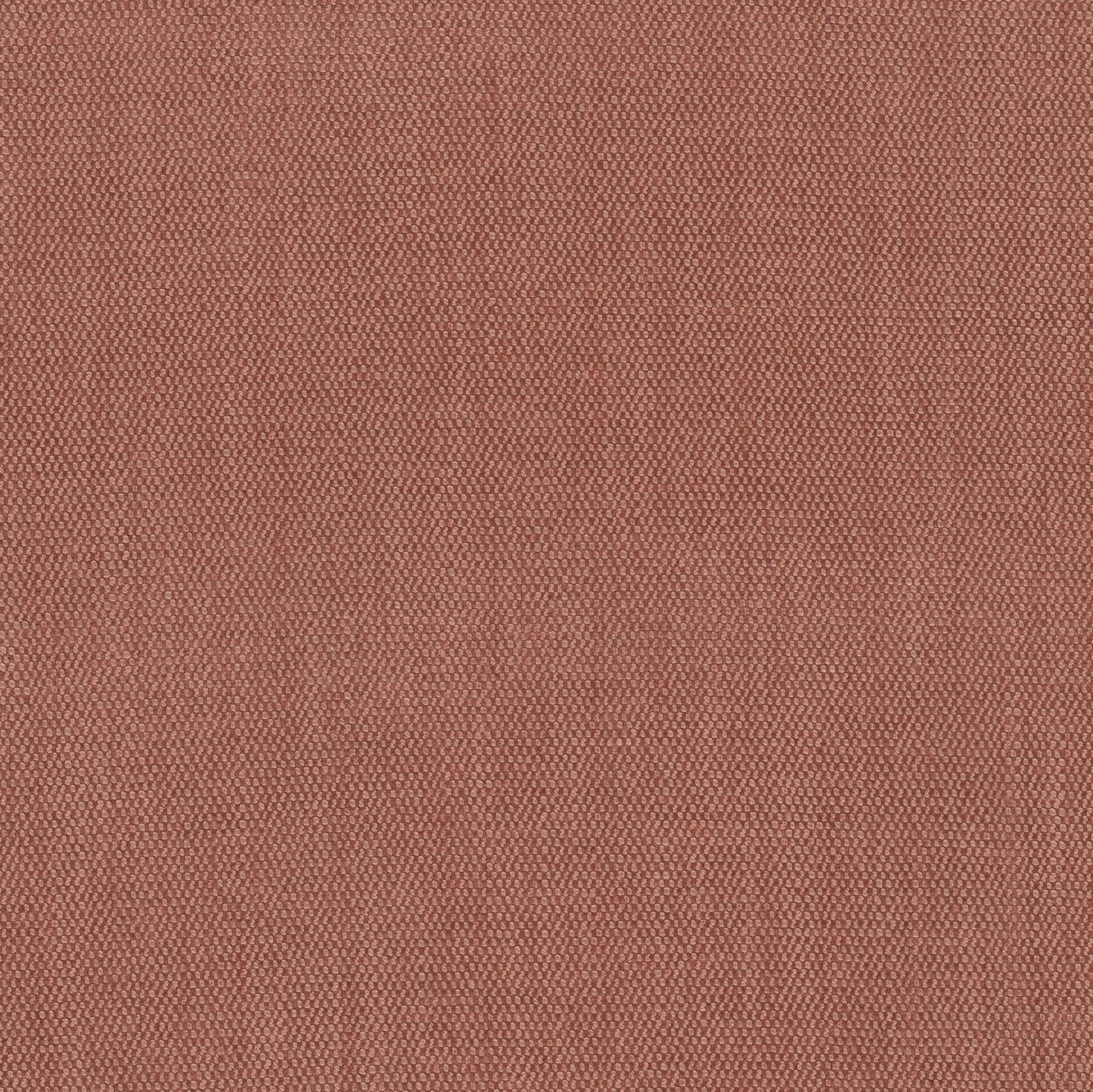 Purchase Stout Fabric Pattern number Dimitri 5 Spice