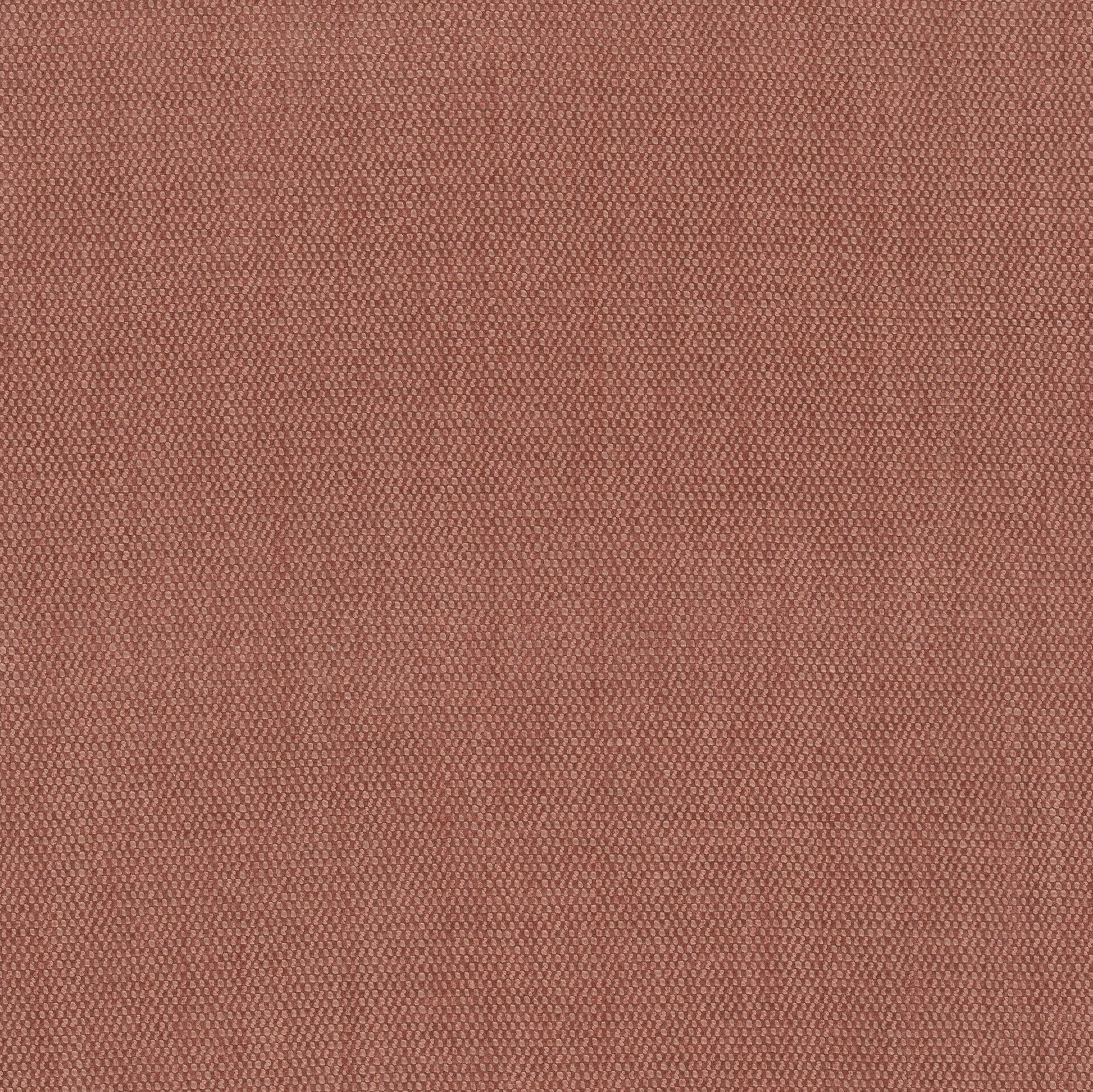 Purchase Stout Fabric Pattern number Dimitri 5 Spice