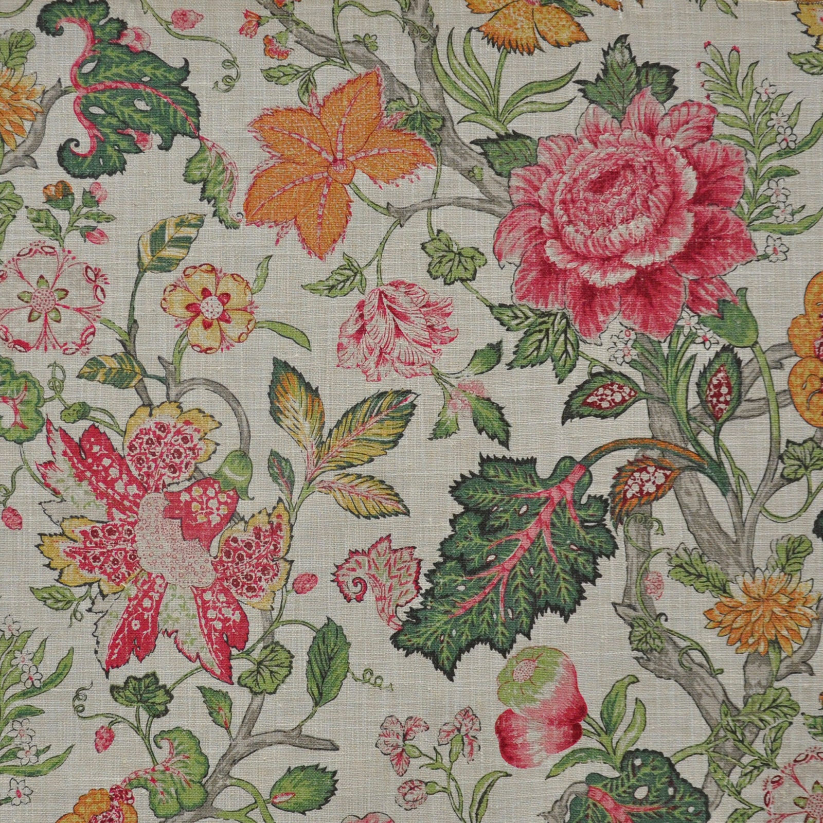 Purchase Maxwell Fabric - Della Flora, # 509 Raspberry