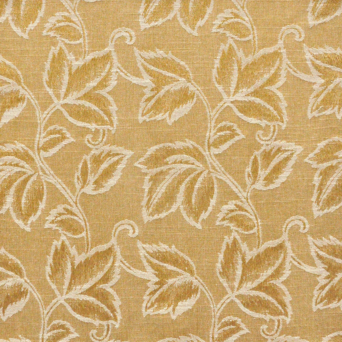 Purchase Maxwell Fabric - Dolma, # 610 Honey