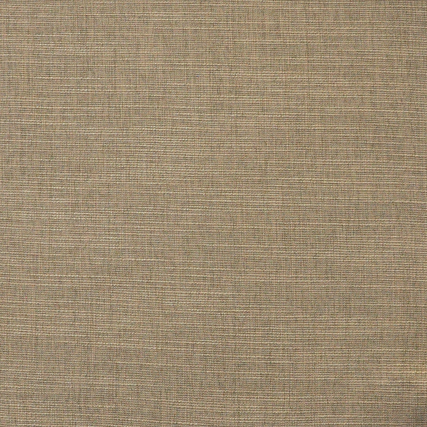 Purchase Maxwell Fabric - Daintree, # 512 Morel