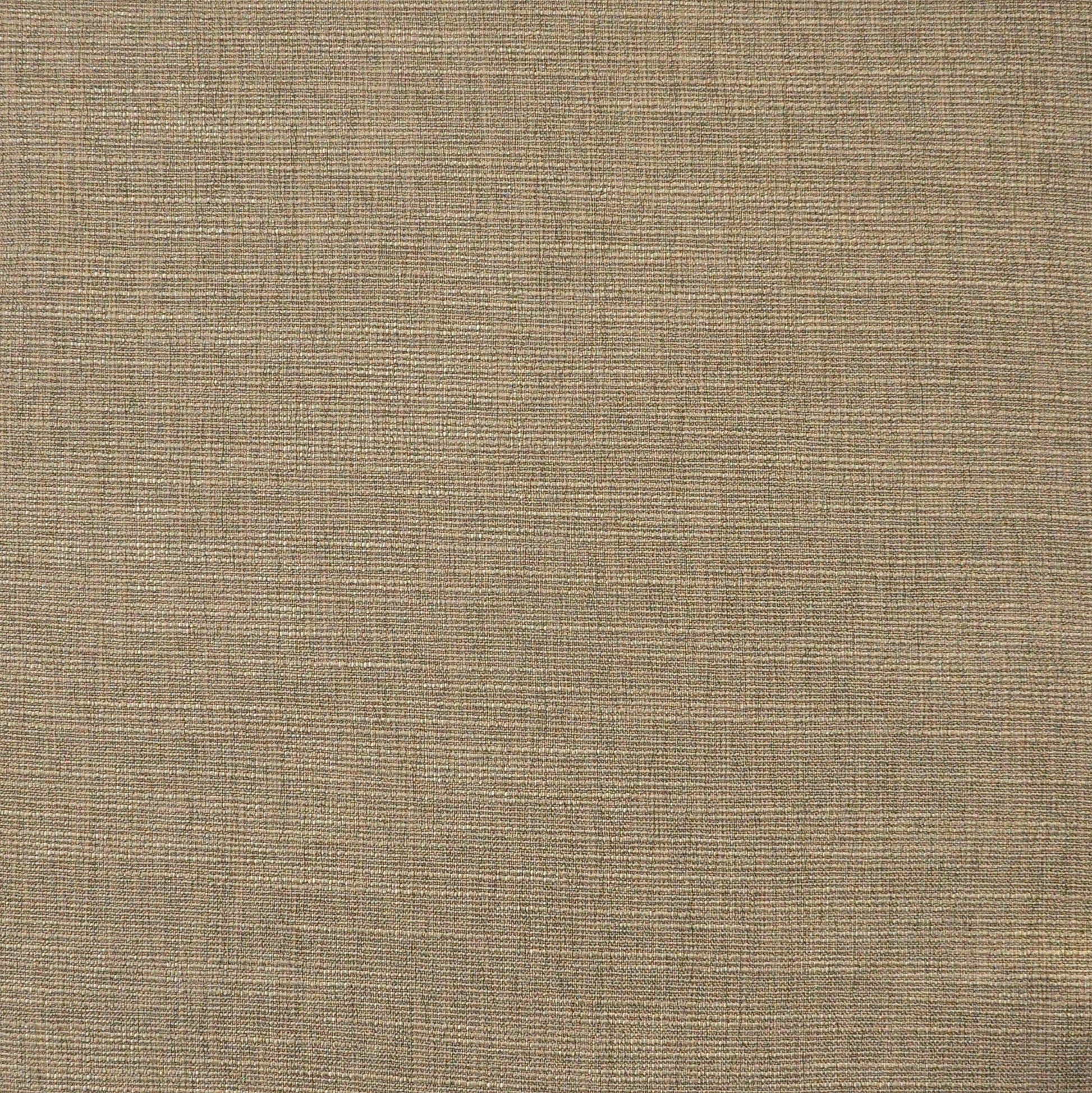 Purchase Maxwell Fabric - Daintree, # 512 Morel