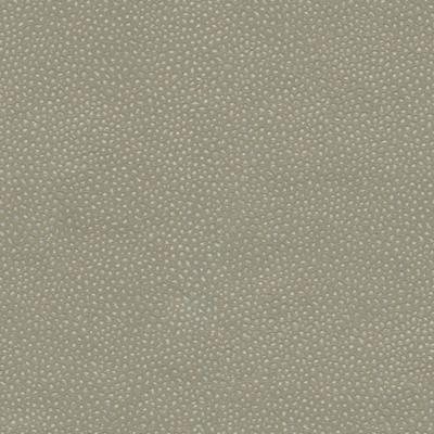 Purchase Edgy Shark.21.0 Edgy Shark,  - Kravet Couture Fabric