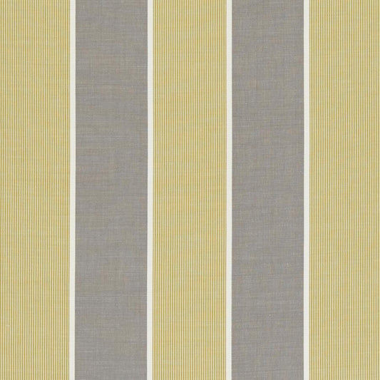 Order F0597-1 Chatburn Citrus by Clarke and Clarke Fabric