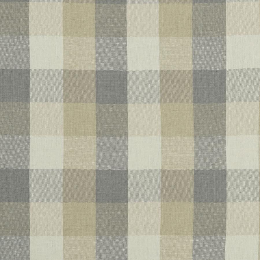 Save F1042/03 Austin Check by Clarke And Clarke Fabric