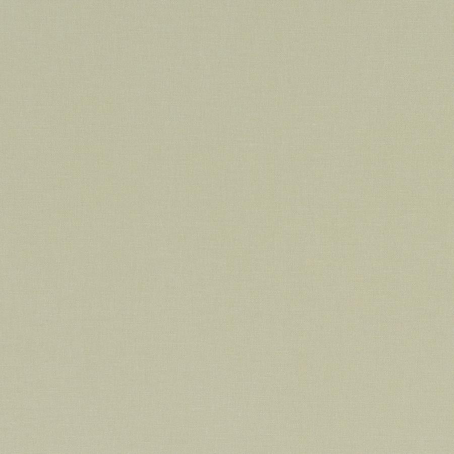 Looking F1097/26 Alora Solid by Clarke And Clarke Fabric