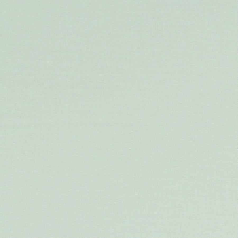Buy F1097/39 Alora Solid by Clarke And Clarke Fabric