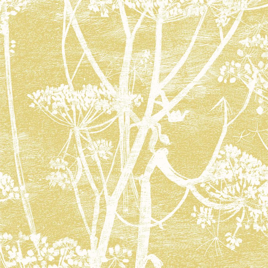 Sample - F111/5020 | Cow Parsley, Cole and Son Contemporary Fabrics - Cole and Son Fabric - F111/5020.Cs.0