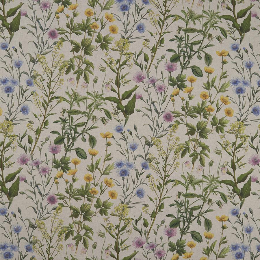 Sample F1146/01 Buttercup Botanical Clarke And Clarke Fabric
