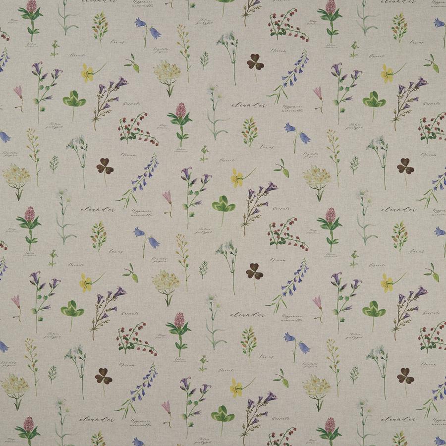Sample F1167/01 Nerium Botanical Clarke And Clarke Fabric