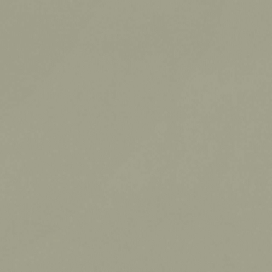 Purchase F1231/22 Renzo Solid by Clarke And Clarke Fabric