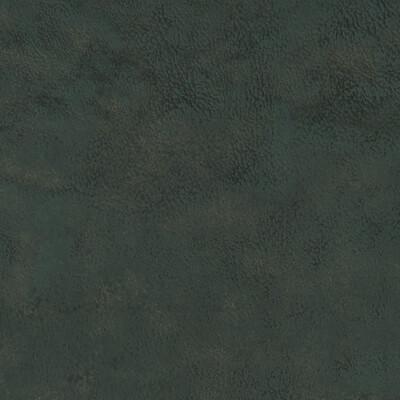 Buy F1296/03 Nola Solid by Clarke And Clarke Fabric