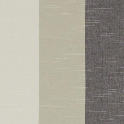 Buy F1308/03 Buckton by Clarke And Clarke Fabric