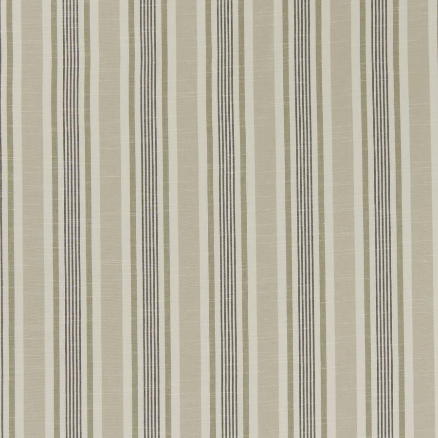 Sample F1310/03 Mappleton Clarke And Clarke Fabric