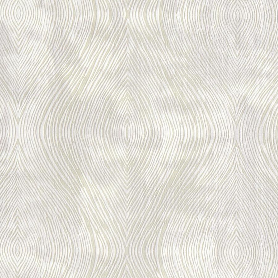 Shop F1336/03 Luster Modern/Contemporary by Clarke And Clarke Fabric