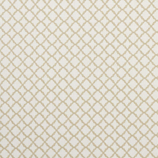 Select F1364/07 Ariyana Diamond by Clarke And Clarke Fabric