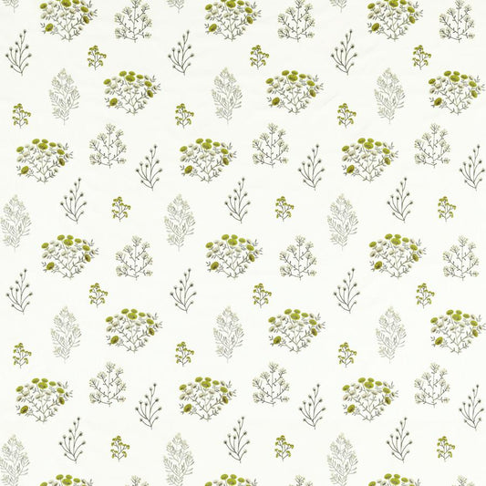Looking F1431/02 Floris Chartreuse Botanical by Clarke And Clarke Fabric
