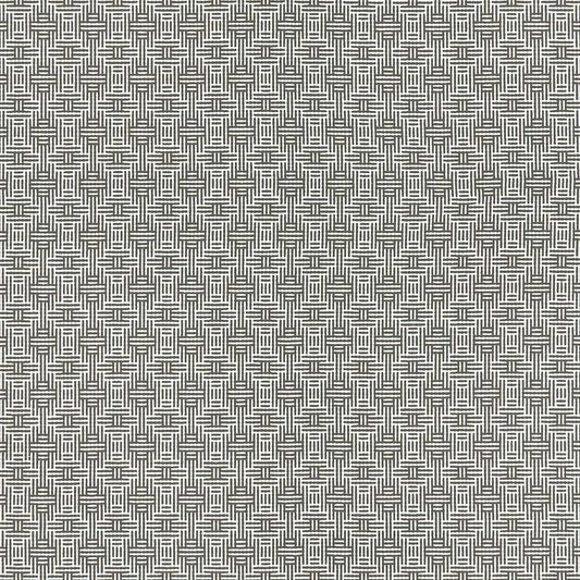 Order F1438/01 Aztec Charcoal Geometric by Clarke And Clarke Fabric