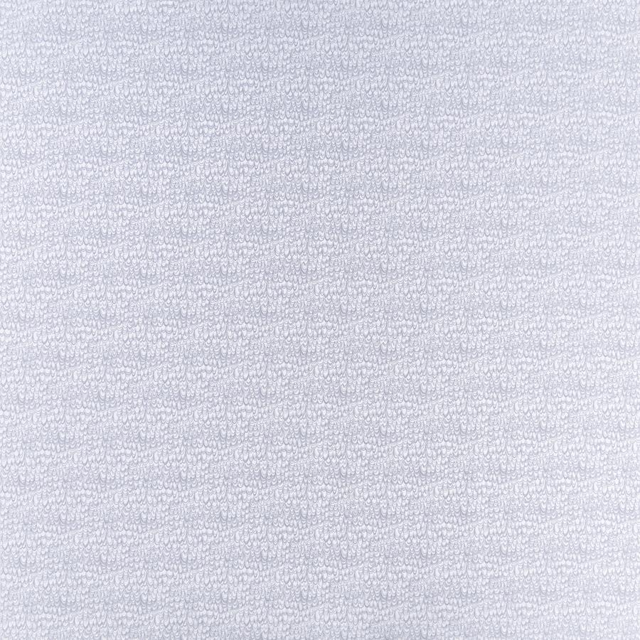 Sample F1457-05 Erebia Silver Bargellos Clarke And Clarke Fabric