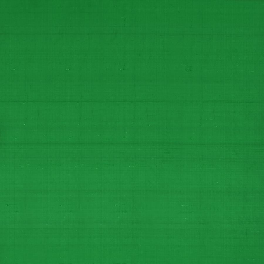 Sample F1473-06 Slyph Fern Solid Clarke And Clarke Fabric