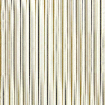 Sample -F1501/03 | Maryland Ochre/Charcoal Stripes - Clarke And Clarke Fabric