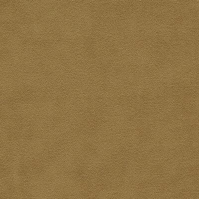 Sample -F1511/14 | Miami Gold Solid - Clarke And Clarke Fabric