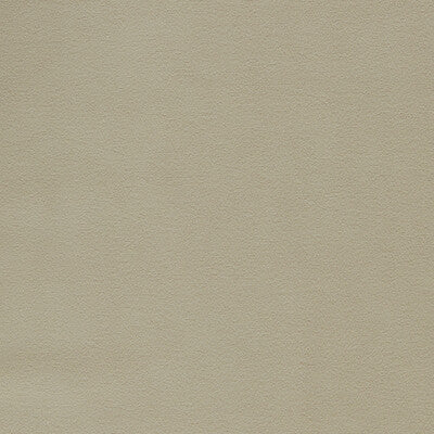 Sample -F1511/23 | Miami Taupe Solid - Clarke And Clarke Fabric