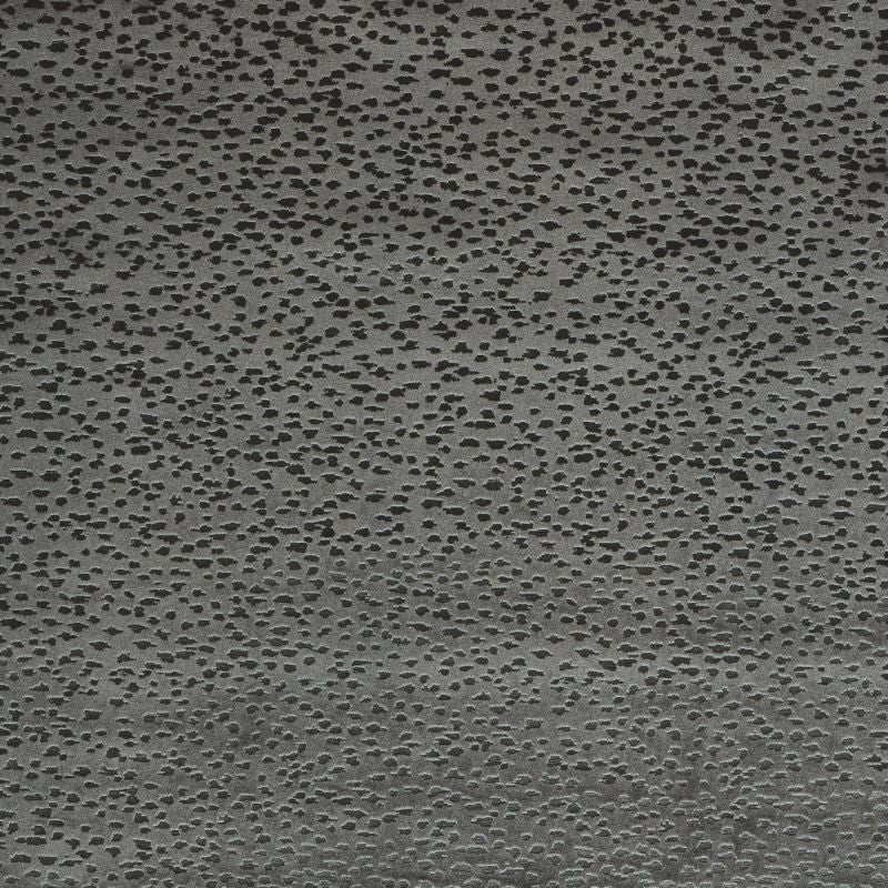 Sample - F1564/01.Cac.0 | Astral, Illusion By Studio G For C&C - Clarke And Clarke Fabric