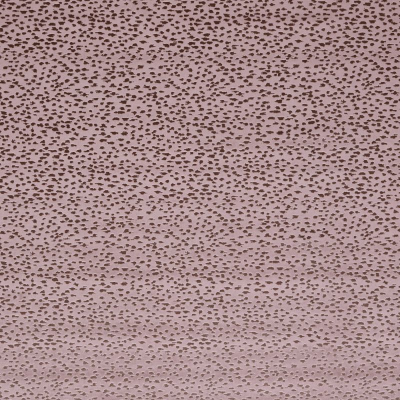 Sample - F1564/03.Cac.0 | Astral, Illusion By Studio G For C&C - Clarke And Clarke Fabric