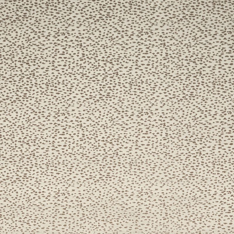 Sample - F1564/07.Cac.0 | Astral, Illusion By Studio G For C&C - Clarke And Clarke Fabric