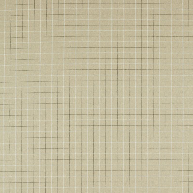 Sample - F1571/02.Cac.0 | Thornton, Clarke & Clarke Burlington - Clarke And Clarke Fabric