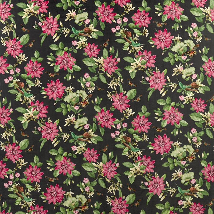 Buy F1588/02 Pink Lotus Noir Velvet Animal/Insects by Clarke And Clarke Fabric