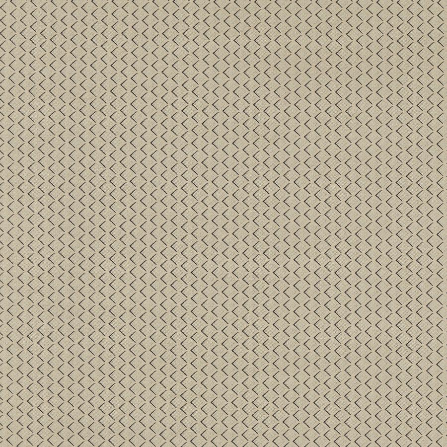 Sample - F1618/03 | Equator, Clarke And Clarke Equinox 2 - Clarke And Clarke Fabric - F1618/03.Cac.0