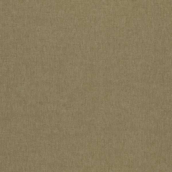 Purchase F1707/24.Cac.0 Paradiso, Clarke & Clarke Paradiso - Clarke And Clarke Fabric