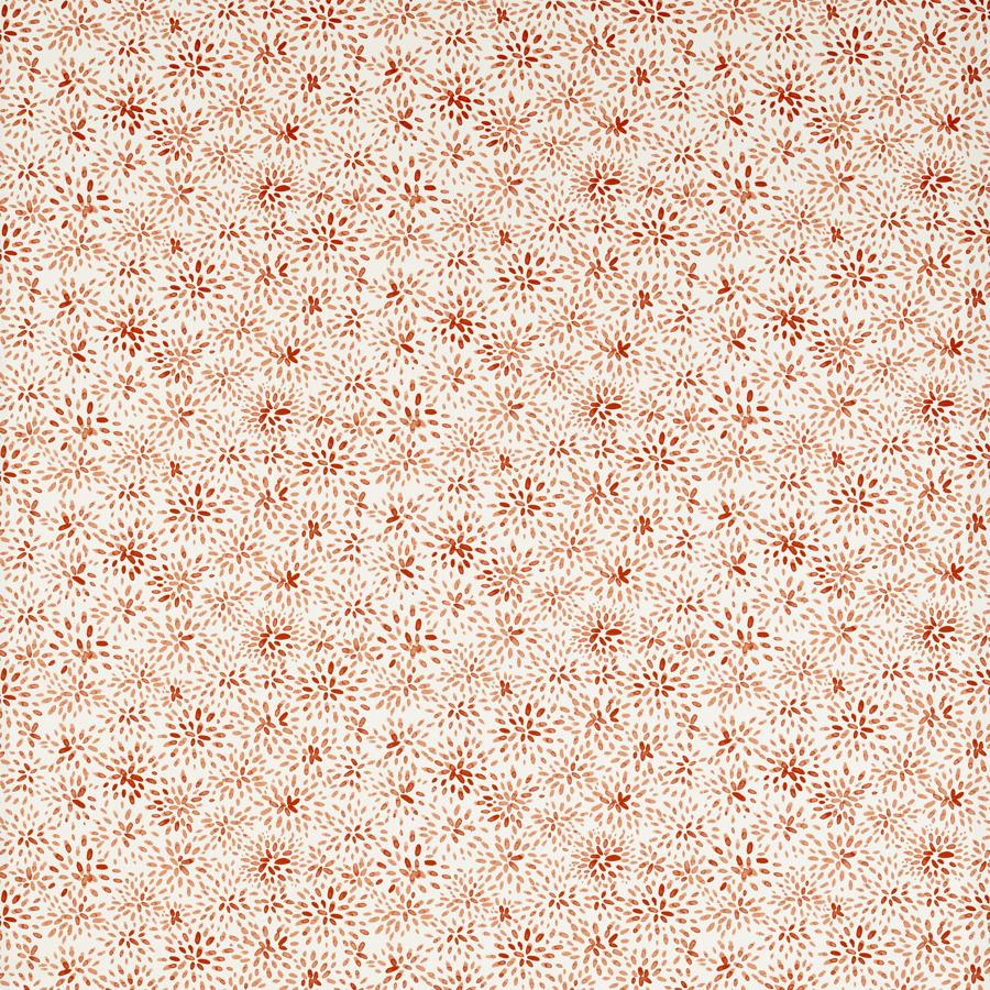 Purchase F1779/04.Cac.0 Cara, Montage Ii - Clarke And Clarke Fabric