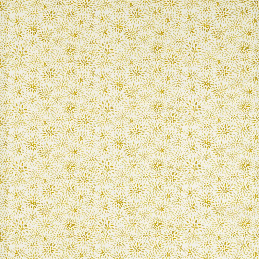 Purchase F1779/05.Cac.0 Cara, Montage Ii - Clarke And Clarke Fabric