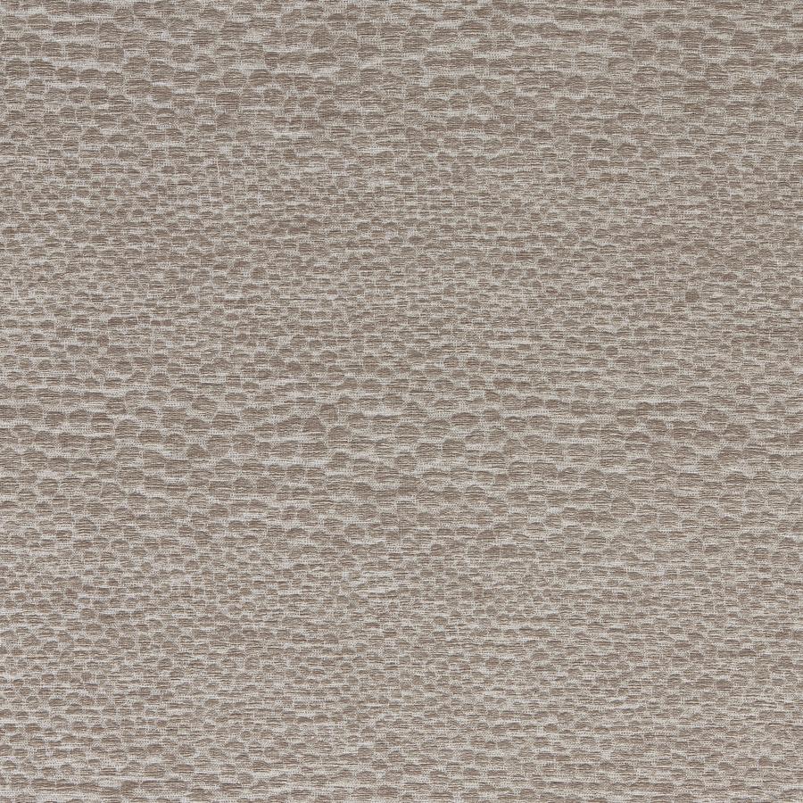 Purchase F1788/08.Cac.0 Castus, Aqueous Performance Weaves - Clarke And Clarke Fabric