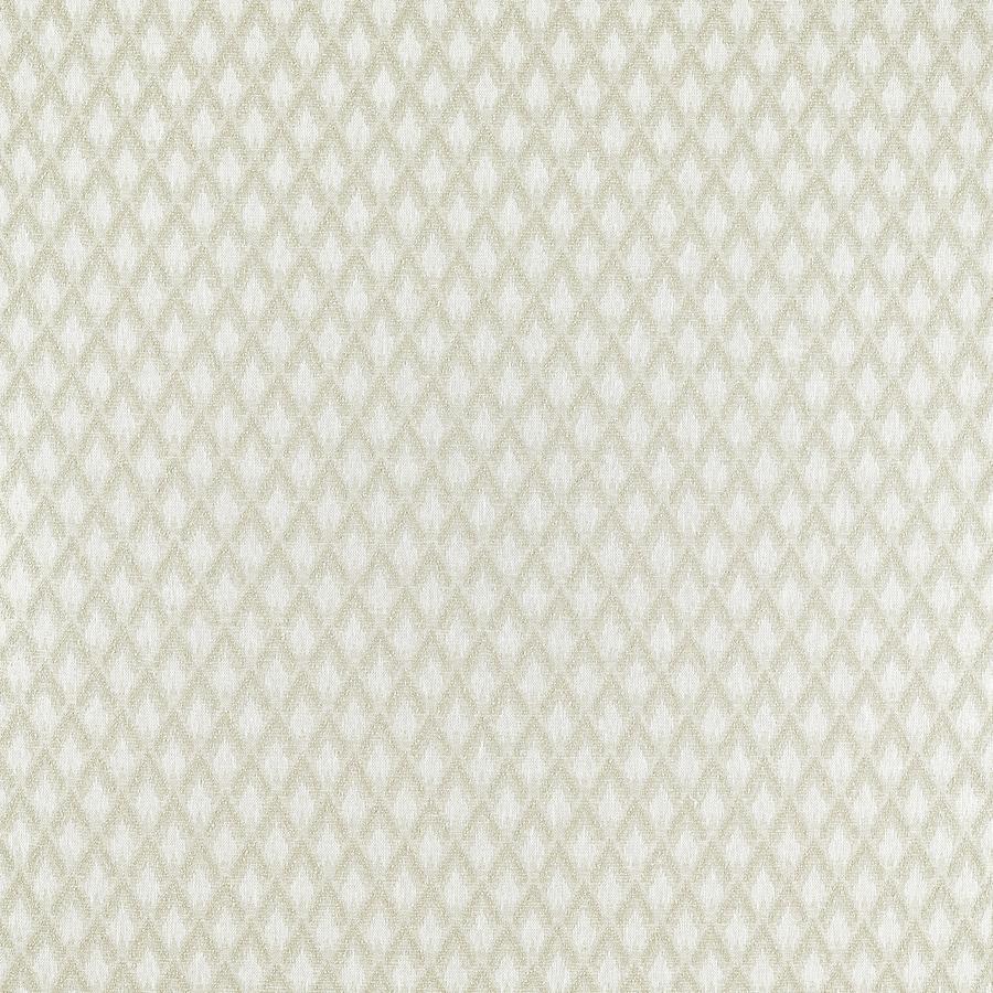 Purchase F1804/05.Cac.0 Torre, Ivory - Clarke And Clarke Fabric