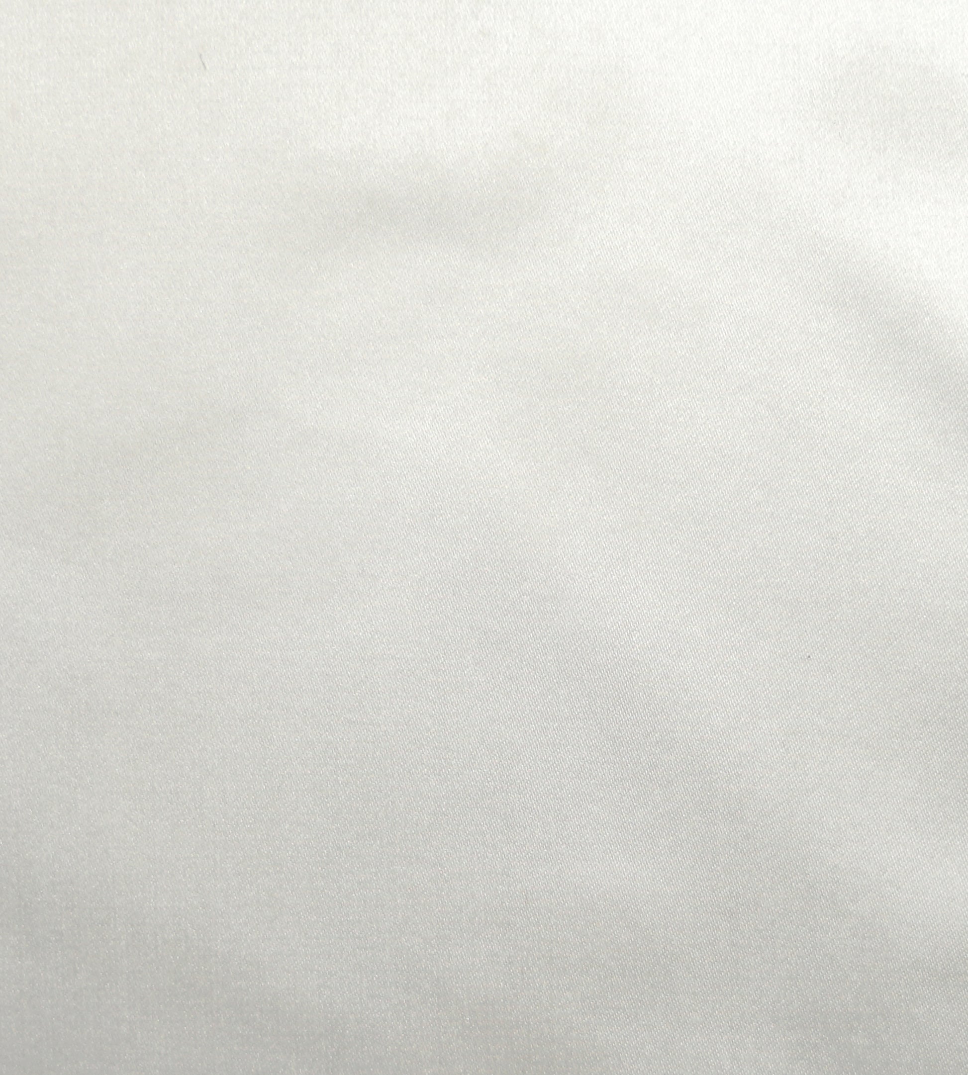 Purchase Old World Weavers Fabric Pattern# F3 00011079, Raso Silver Cream 1