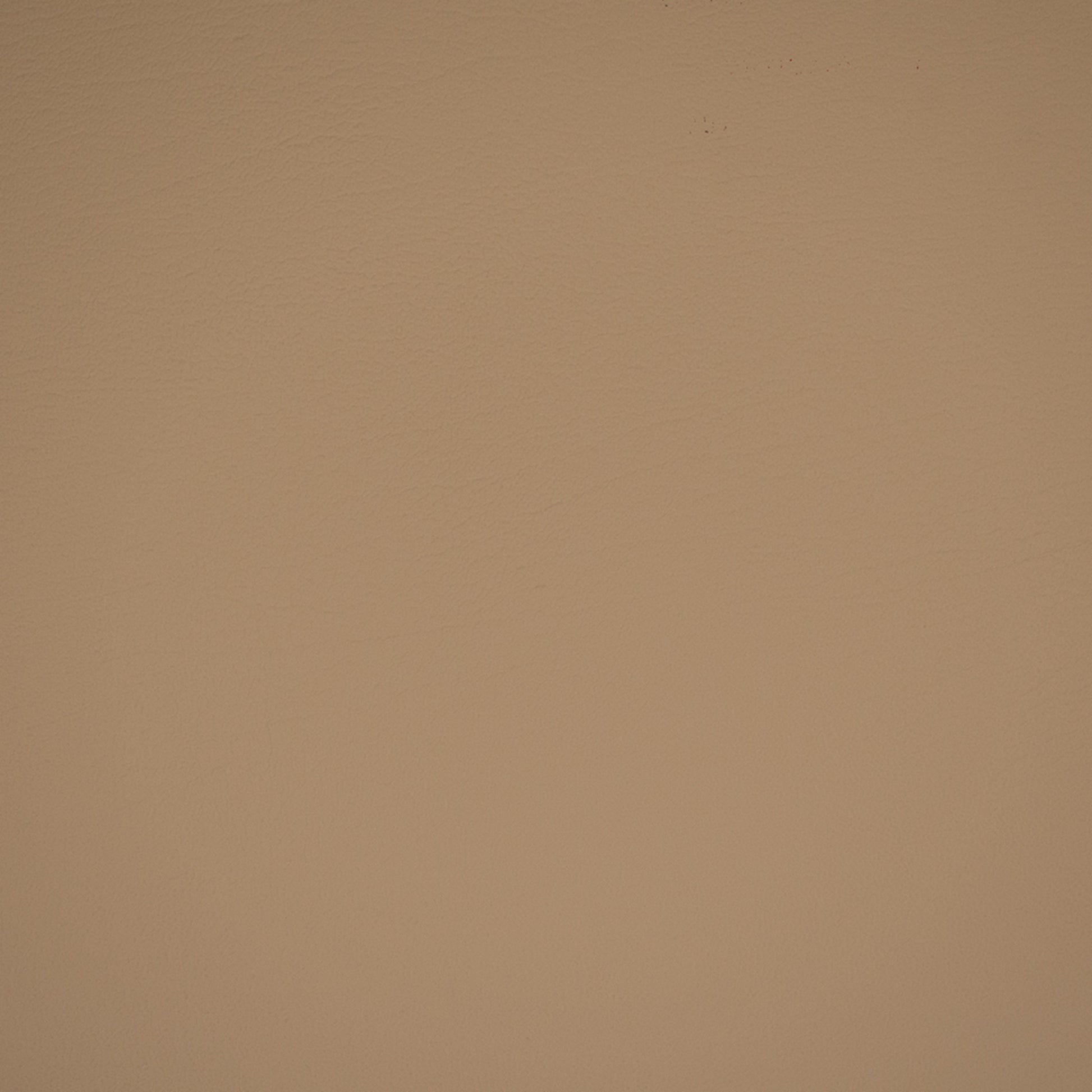 Purchase Greenhouse Fabric F4910 Natural