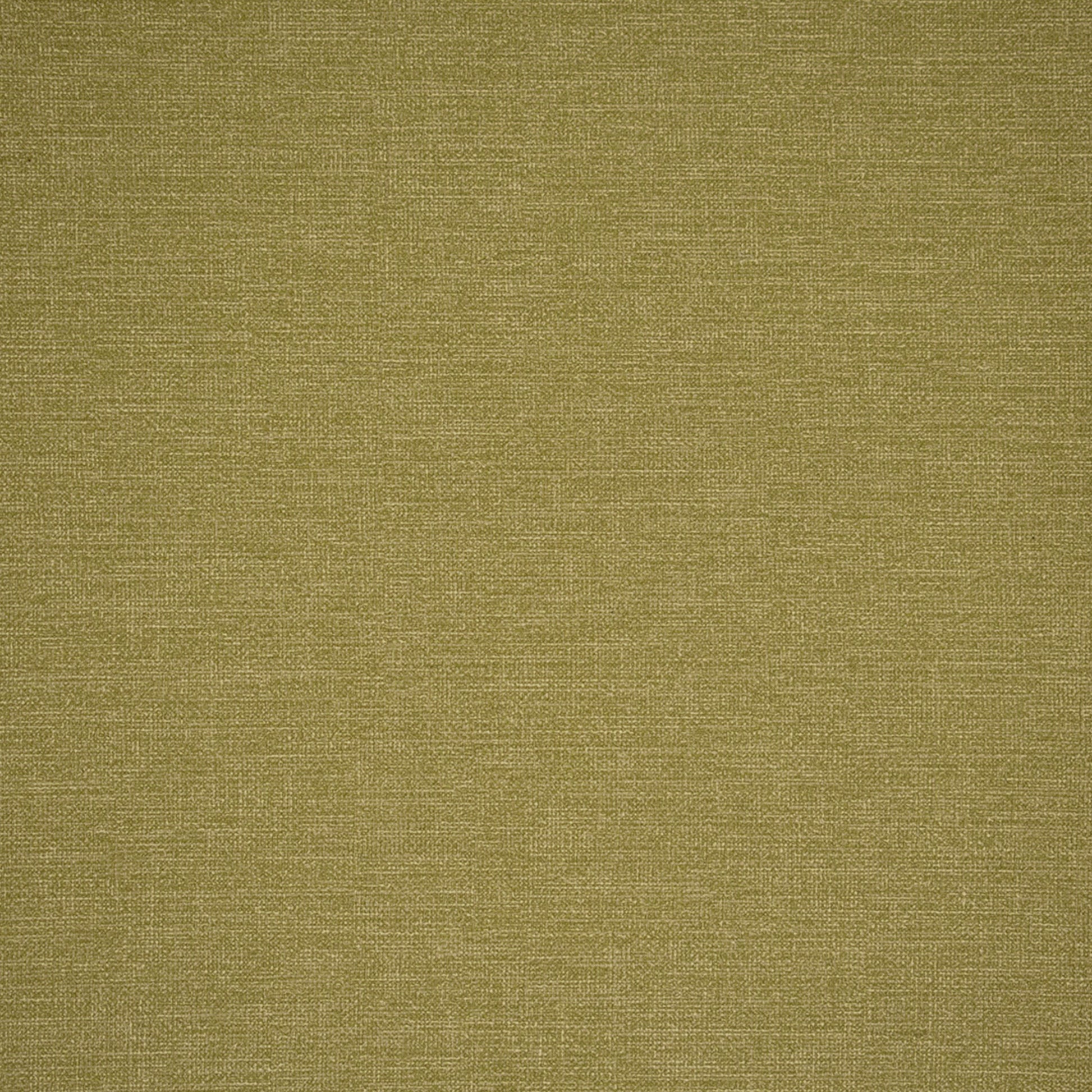 Purchase Greenhouse Fabric F4927 Pistachio