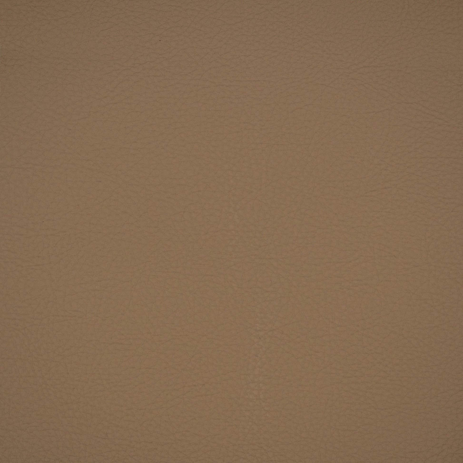Purchase Greenhouse Fabric F4940 Taupe