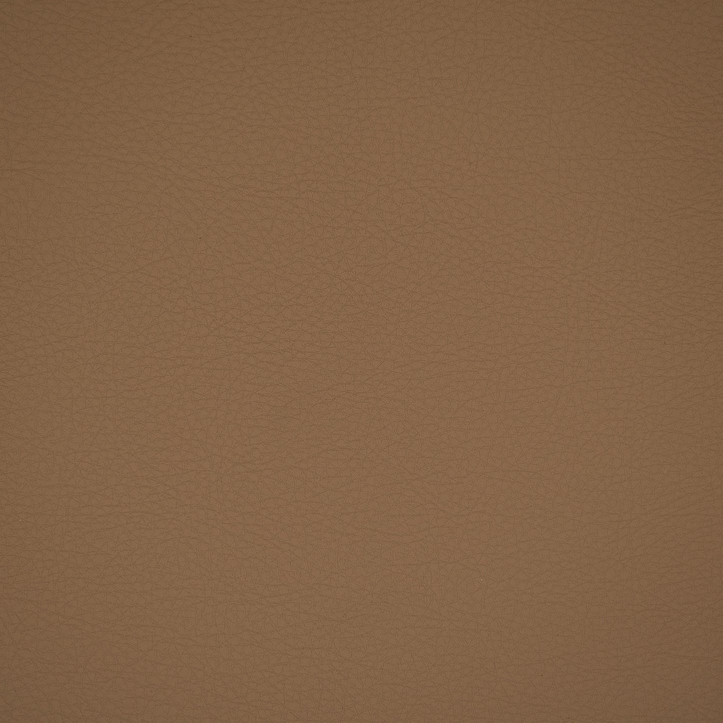 Purchase Greenhouse Fabric F4949 Fawn